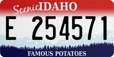 ID license plate E254571