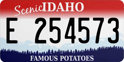 ID license plate E254573