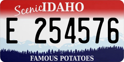 ID license plate E254576