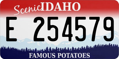ID license plate E254579