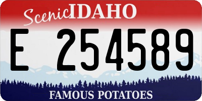 ID license plate E254589