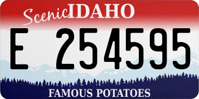 ID license plate E254595