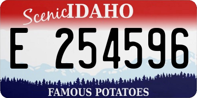 ID license plate E254596