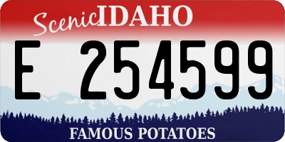 ID license plate E254599