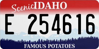 ID license plate E254616