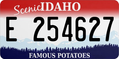 ID license plate E254627