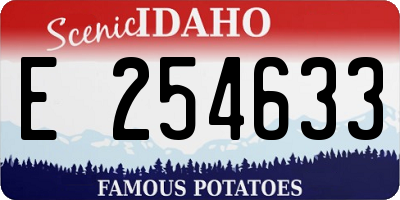 ID license plate E254633