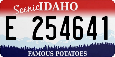 ID license plate E254641