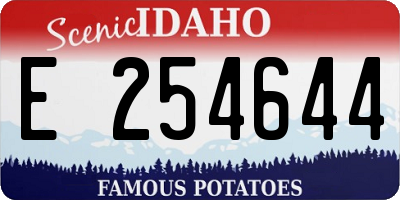 ID license plate E254644