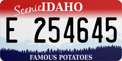 ID license plate E254645