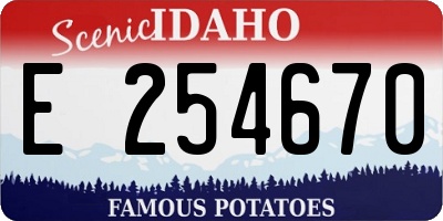 ID license plate E254670