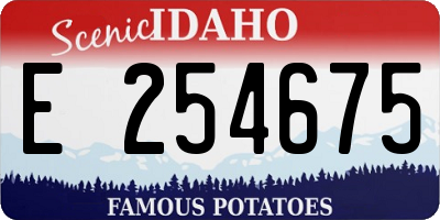 ID license plate E254675