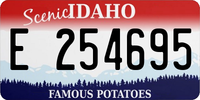 ID license plate E254695