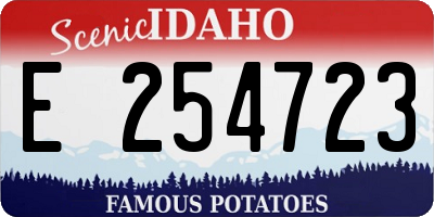 ID license plate E254723