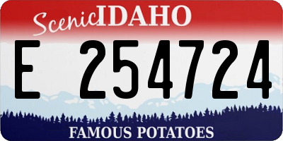 ID license plate E254724