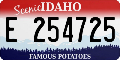 ID license plate E254725