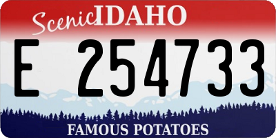 ID license plate E254733