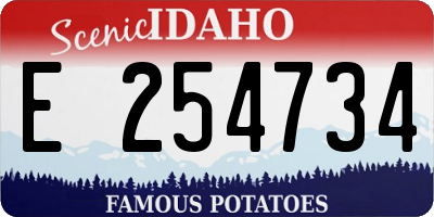 ID license plate E254734