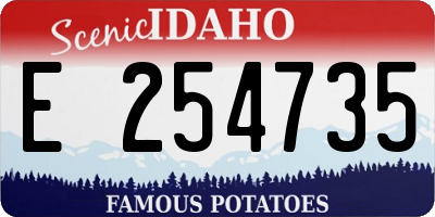 ID license plate E254735