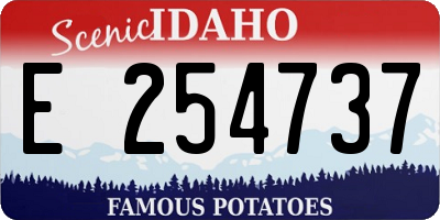 ID license plate E254737