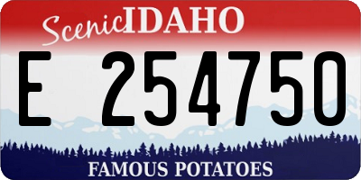ID license plate E254750