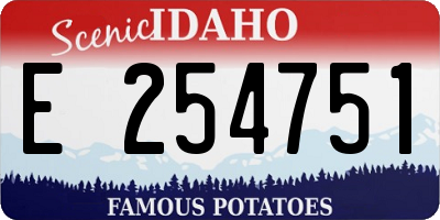 ID license plate E254751