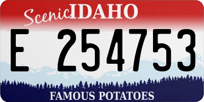 ID license plate E254753