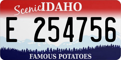 ID license plate E254756