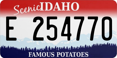 ID license plate E254770