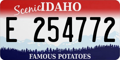 ID license plate E254772