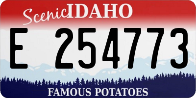 ID license plate E254773