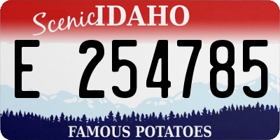 ID license plate E254785