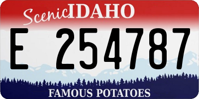 ID license plate E254787