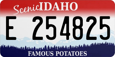 ID license plate E254825
