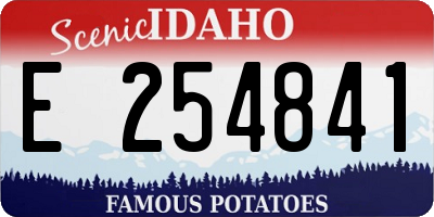 ID license plate E254841