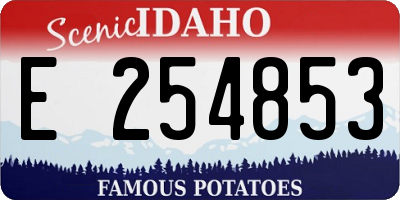 ID license plate E254853