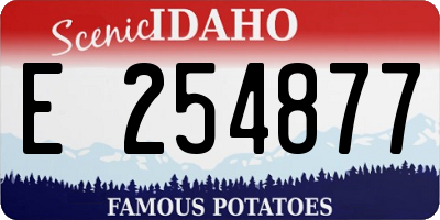 ID license plate E254877