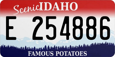 ID license plate E254886