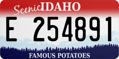 ID license plate E254891