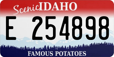 ID license plate E254898