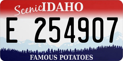 ID license plate E254907