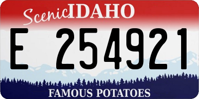 ID license plate E254921