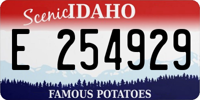 ID license plate E254929