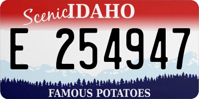 ID license plate E254947