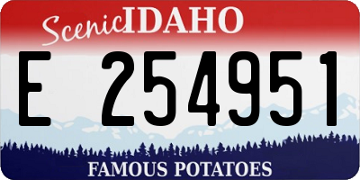 ID license plate E254951