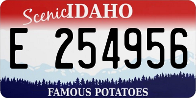 ID license plate E254956