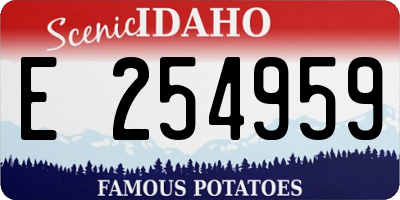 ID license plate E254959