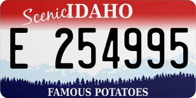 ID license plate E254995