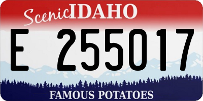ID license plate E255017