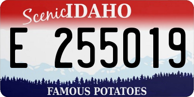 ID license plate E255019